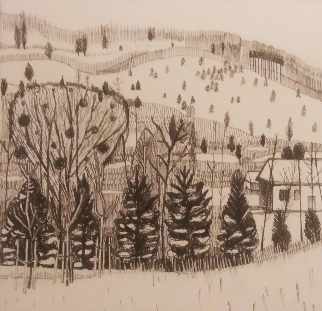 Choinki_2024_21x29,7 cm_ołówek na papierze