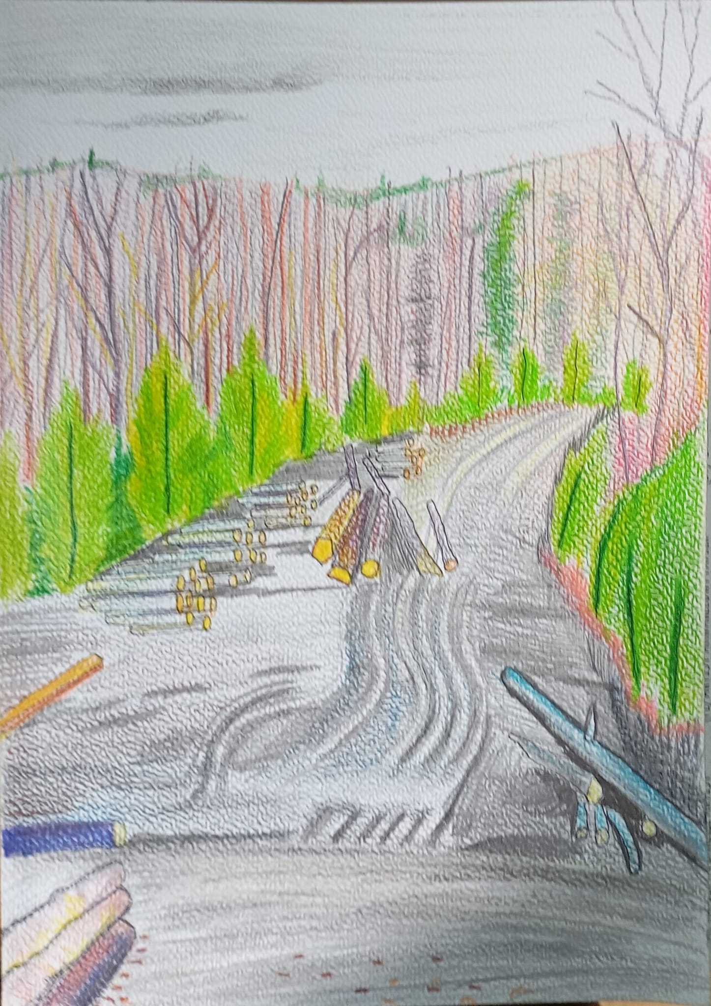 Droga na Klimczok_2024_21x29,7 cm_kredki na papierze