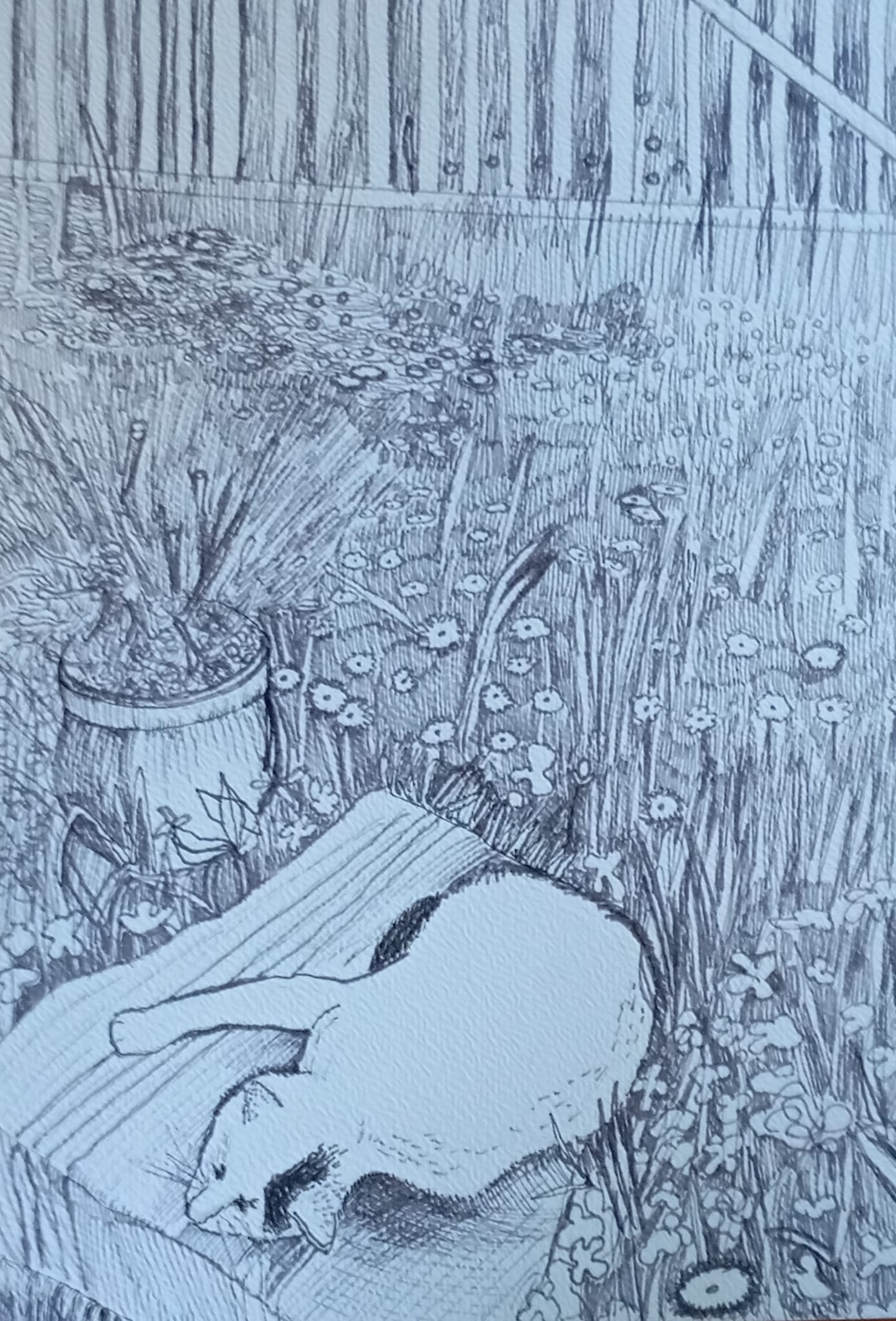 Wasia-1_2024_21x29,7 cm_cienkopis na papierze