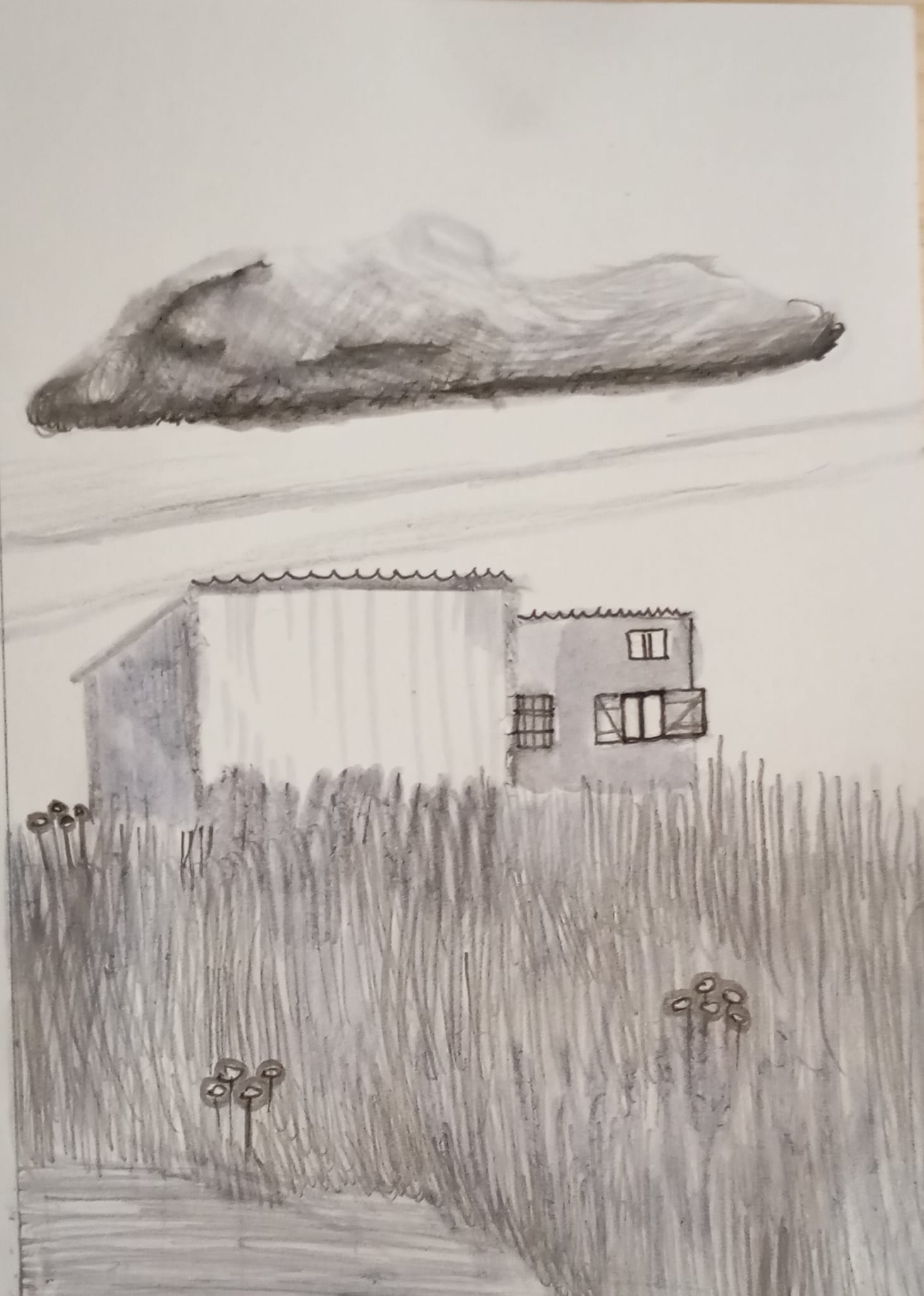 Lenax-2_2024_21x29,7 cm_ołówek na papierze