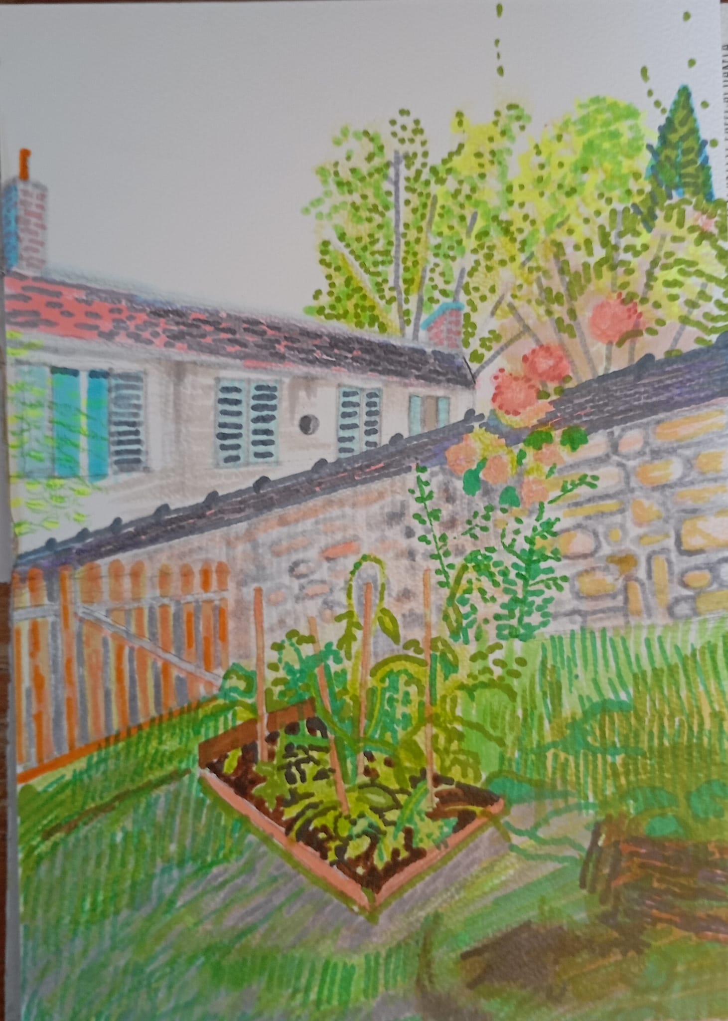 Pomidory_2024_21x29,7 cm_marker na papierze