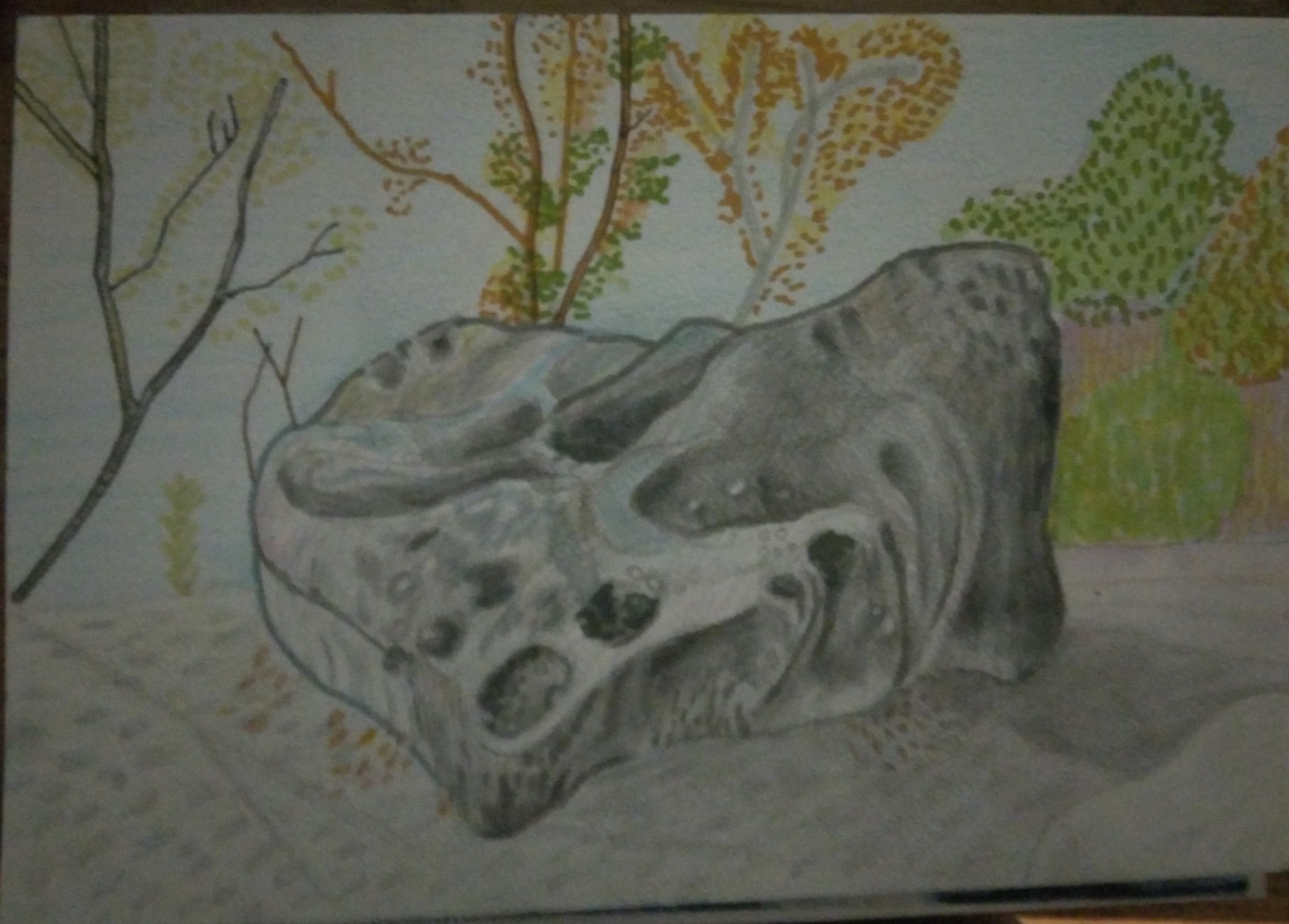 Skała w Fontaineblau_2024_21x29,7 cm_ołówek i cienkopis na papierze