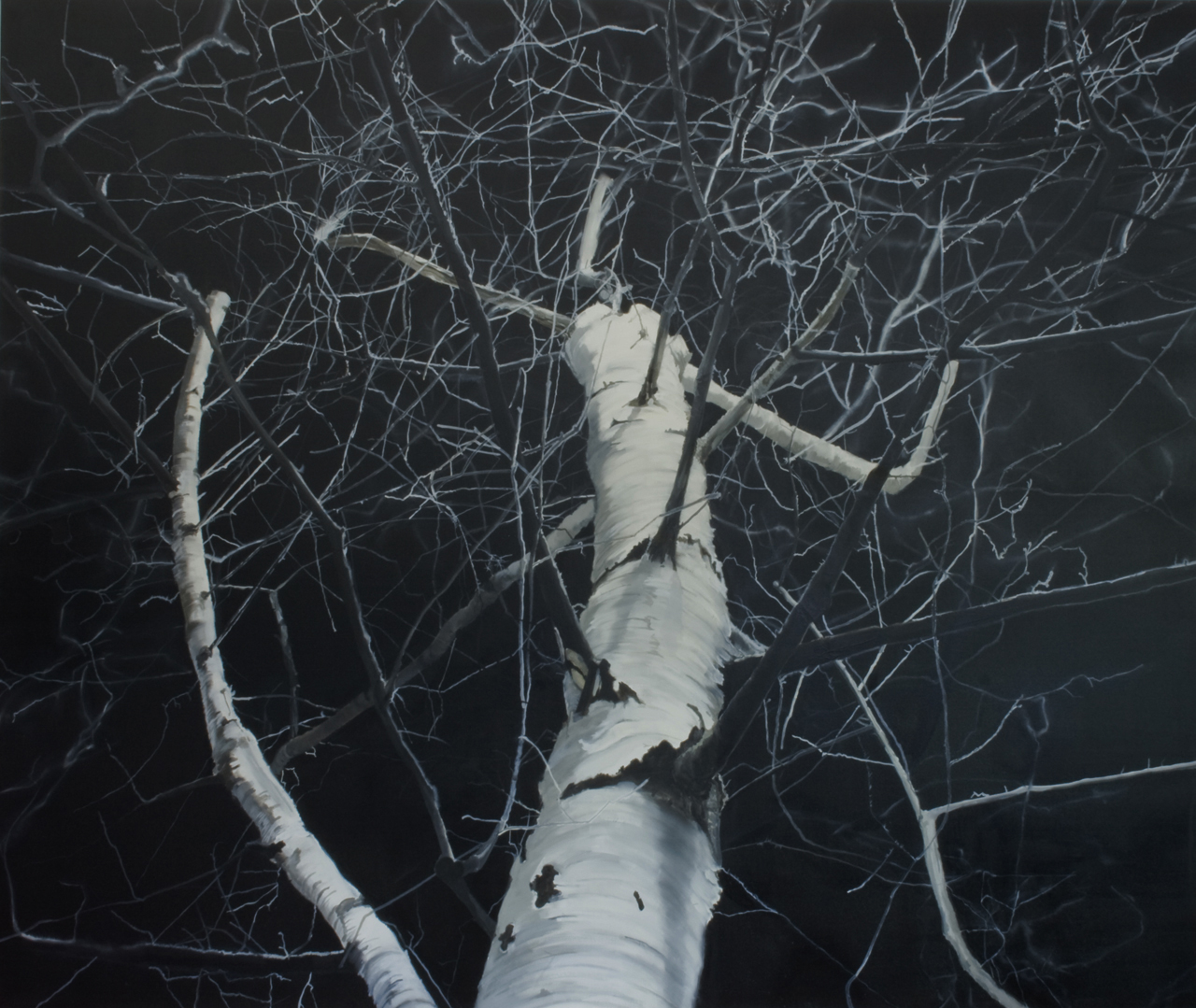 brzoza, tree, night, nataliaszymonikt art