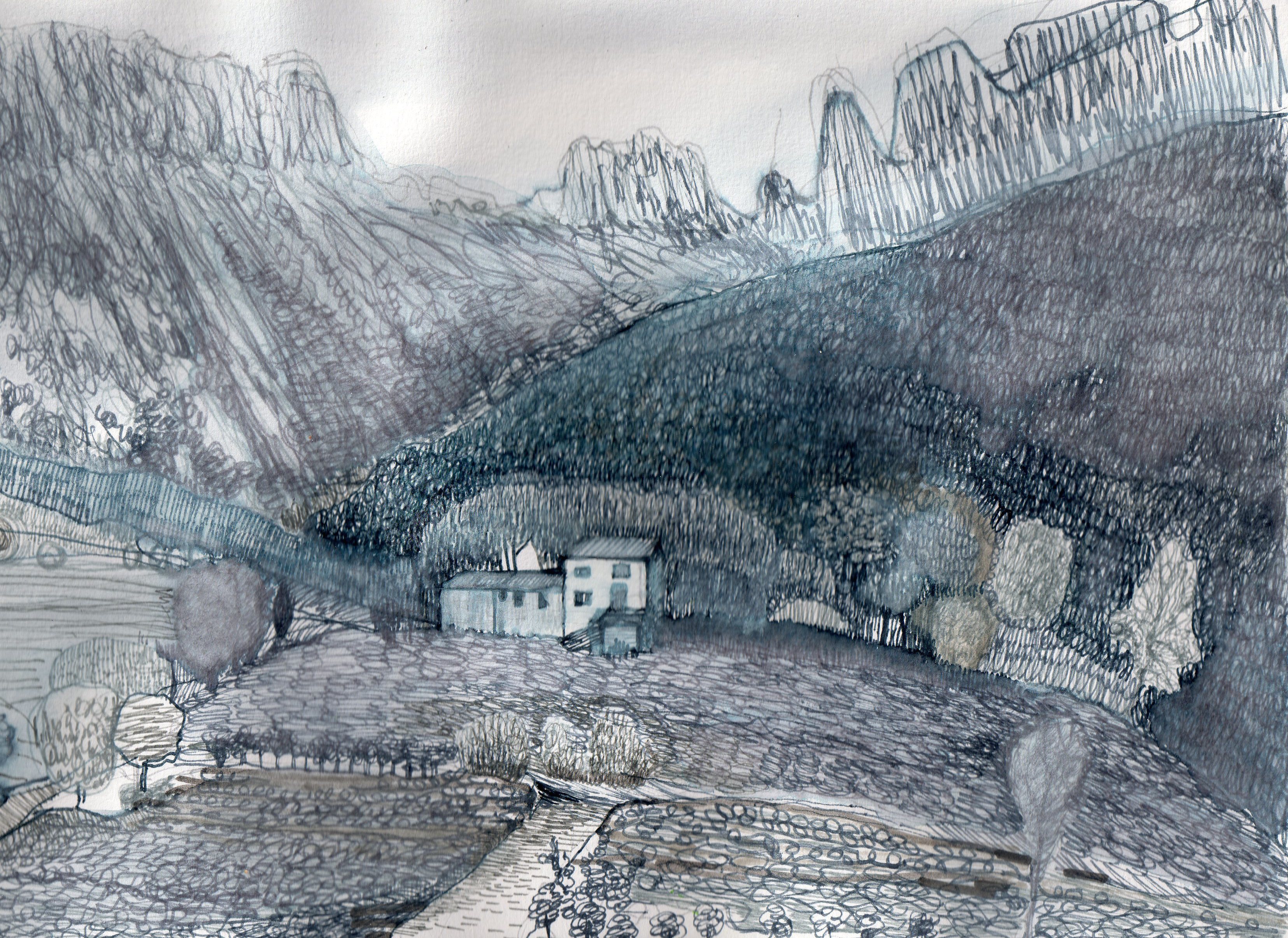 lines, kreski, mude, the mude of love of nature, nataliaszymonikart