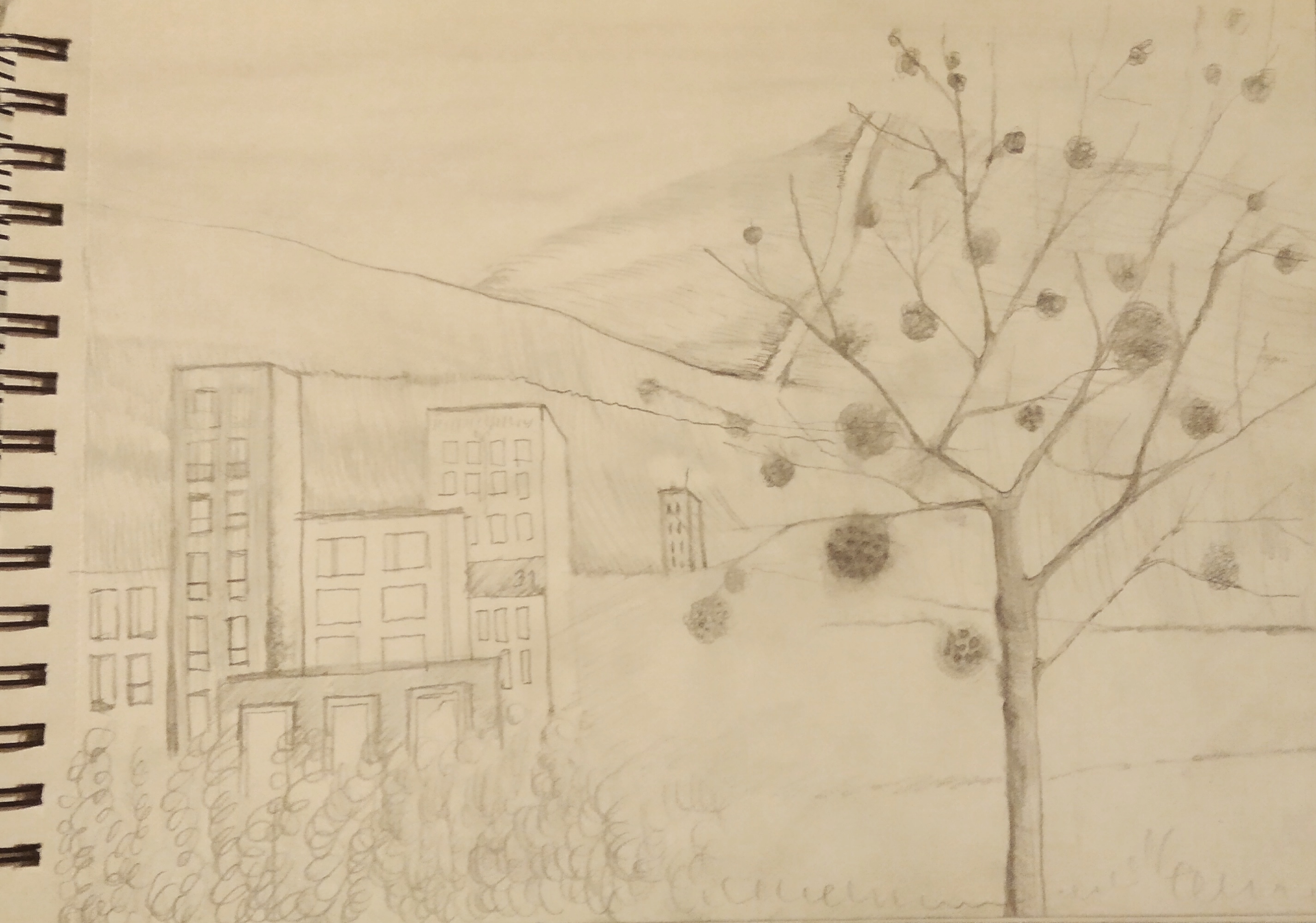 Widok z Sarniego Stoku_2022_21x29,7_ołówek na papierze