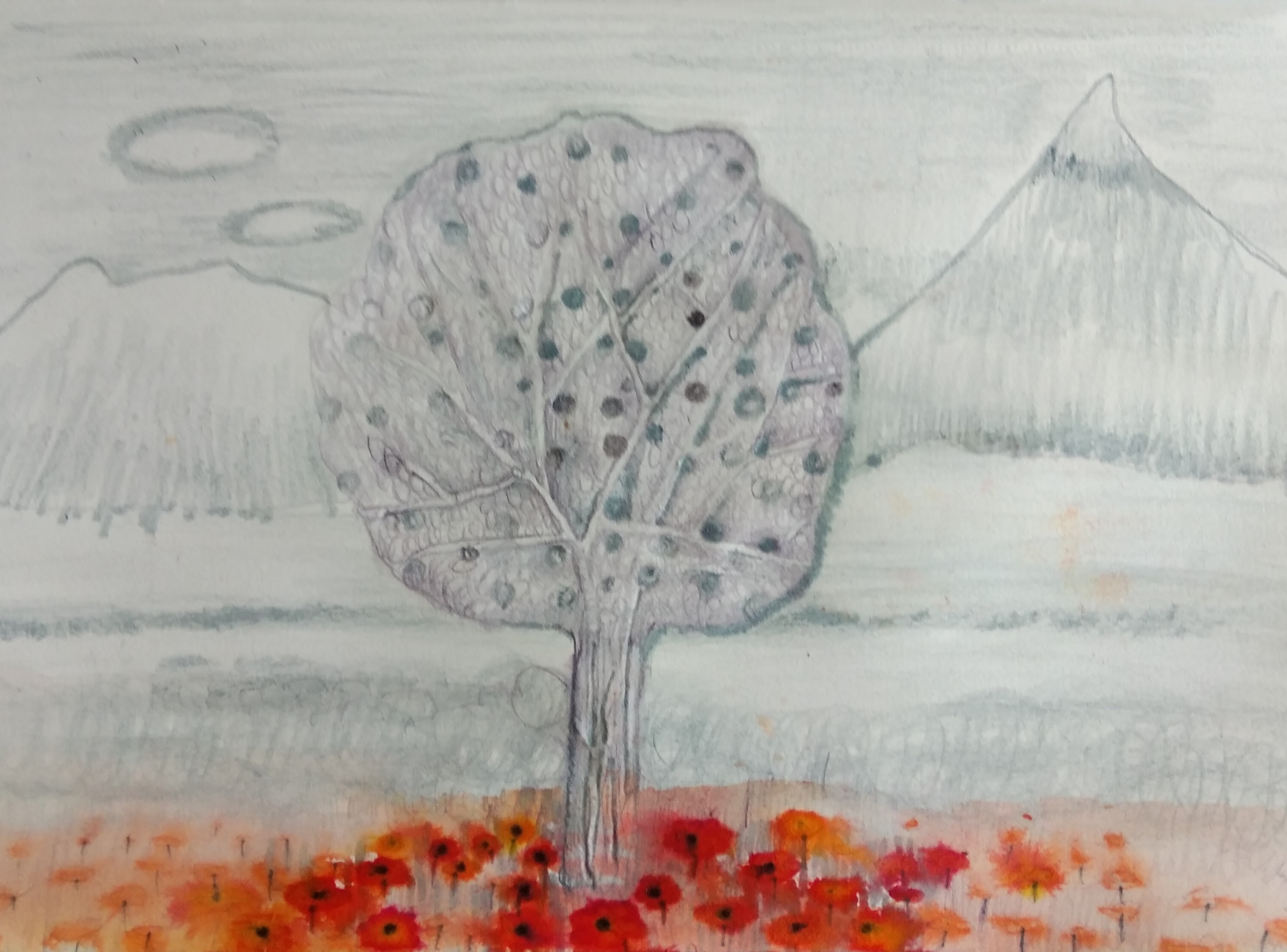 Maki_2022_21x29,7 cm_cienkopis i ołówek na papierze