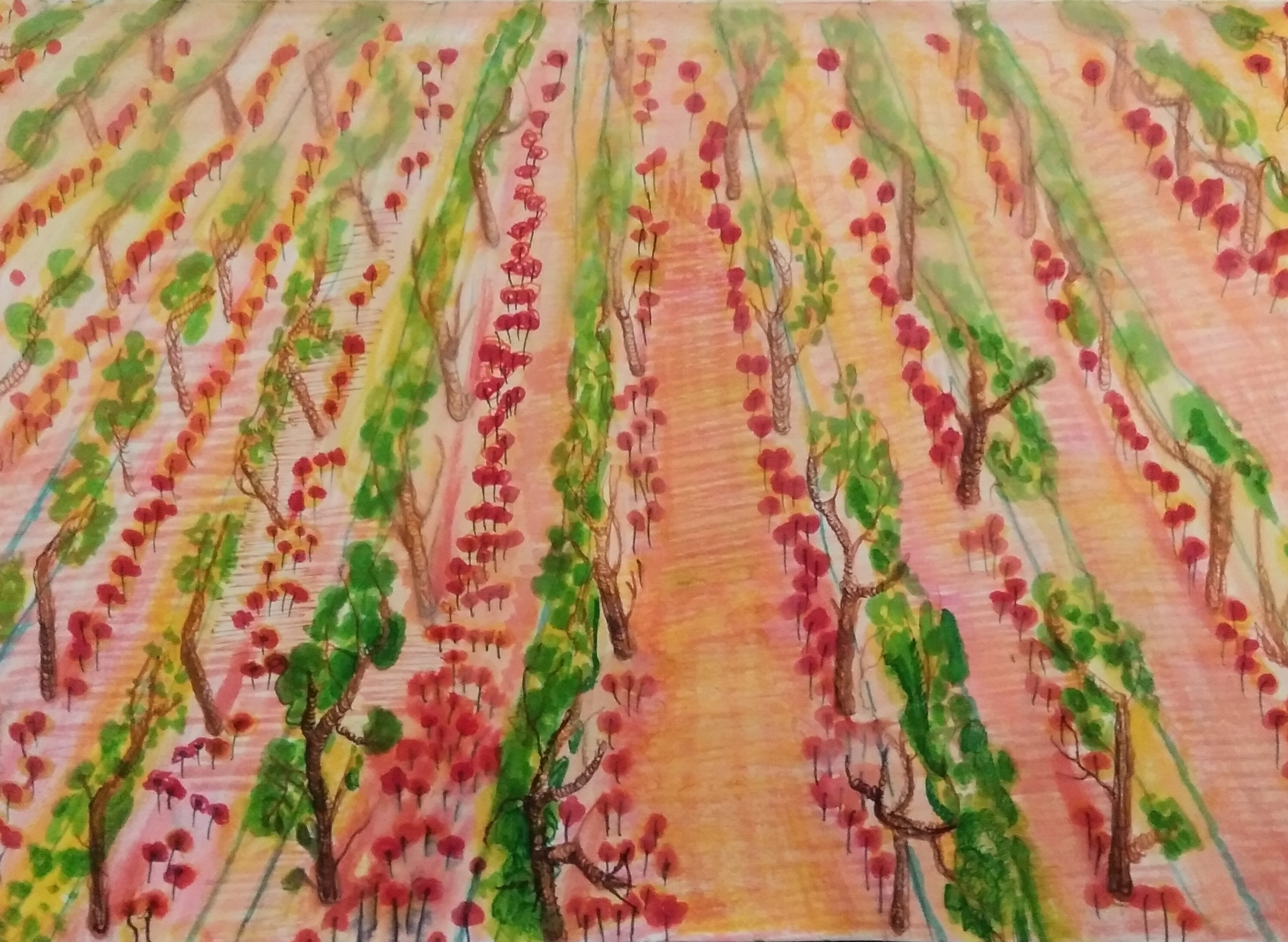 Maki w winnicy_2022_21x29,7 cm_cienkopis i marker na papierze
