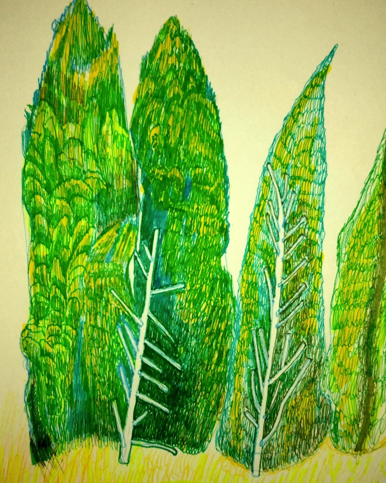 Zielone cyprysy_2022_21x29,7 cm_cienkopis na papierze