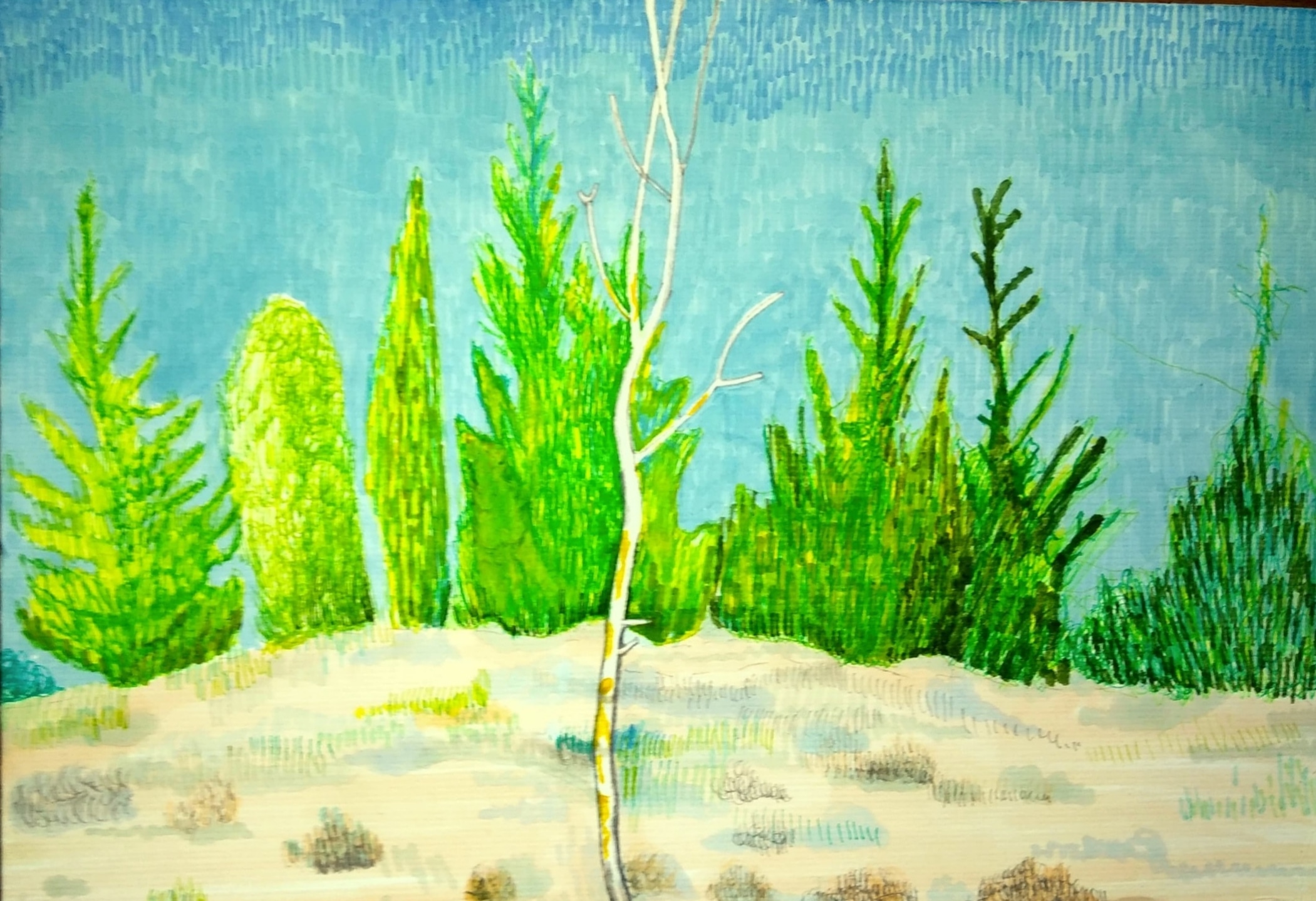 Białe drzewo_2022_21x29,7 cm_cienkopis na papierze