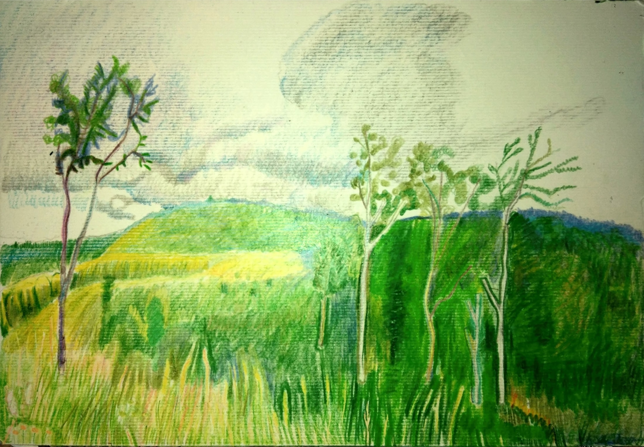 Wiatr_2022_21x27,9 cm_kredki na papierze