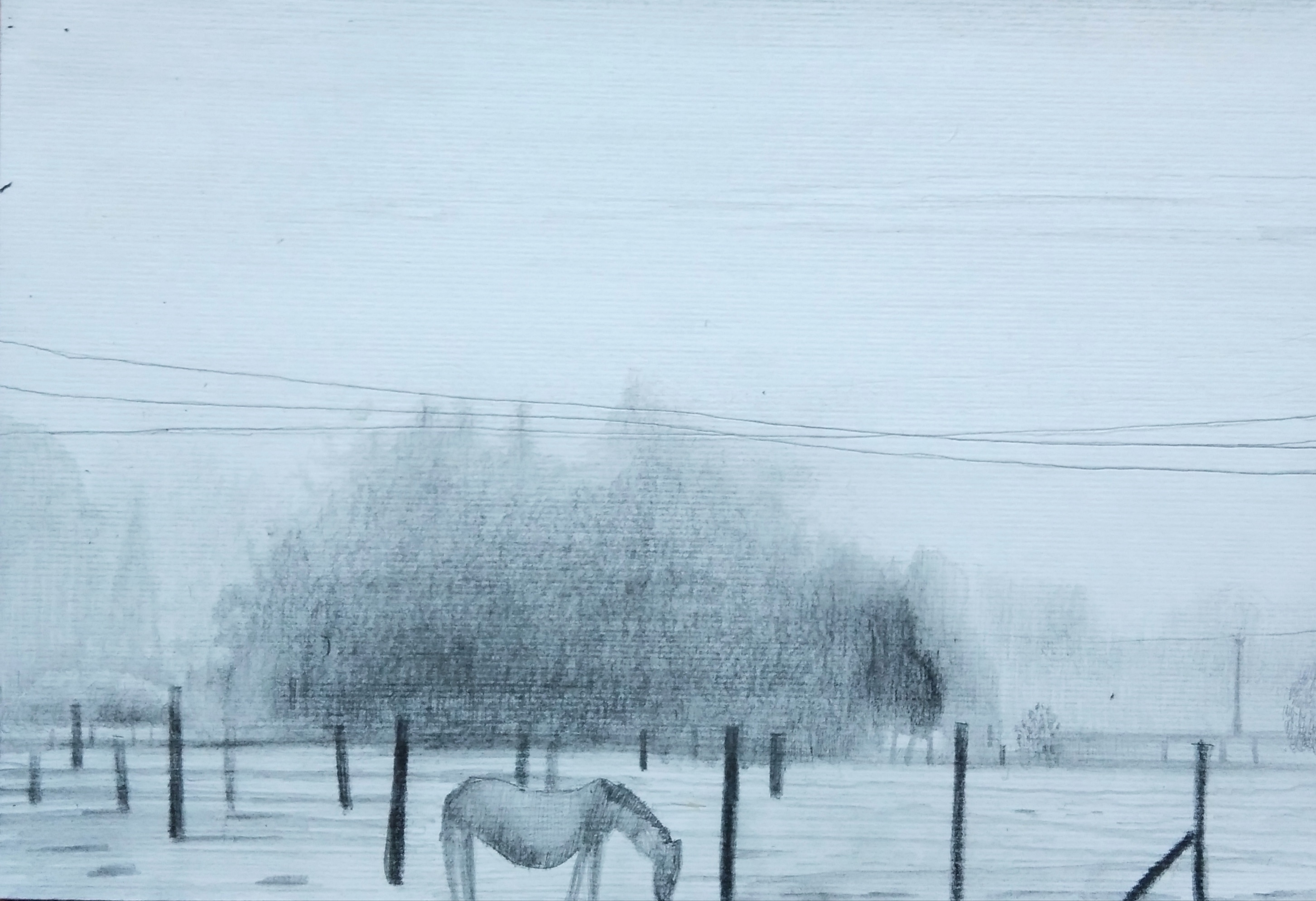 Samotny koń_2023_21x29,7 cm_ołówek na papierze