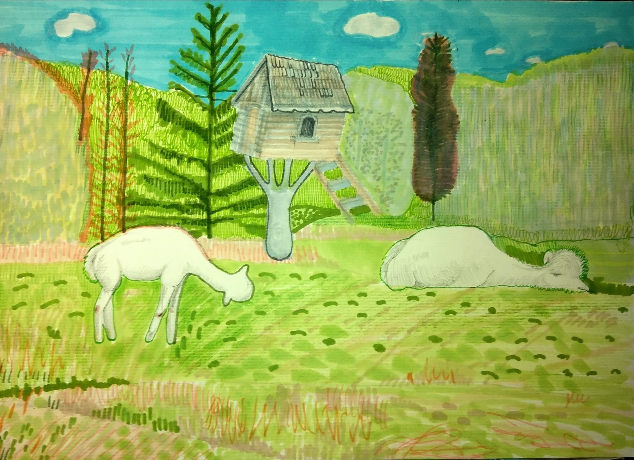 Dwie alpaki_2023_21x29,7 cm_cienkopis i marker na papierze