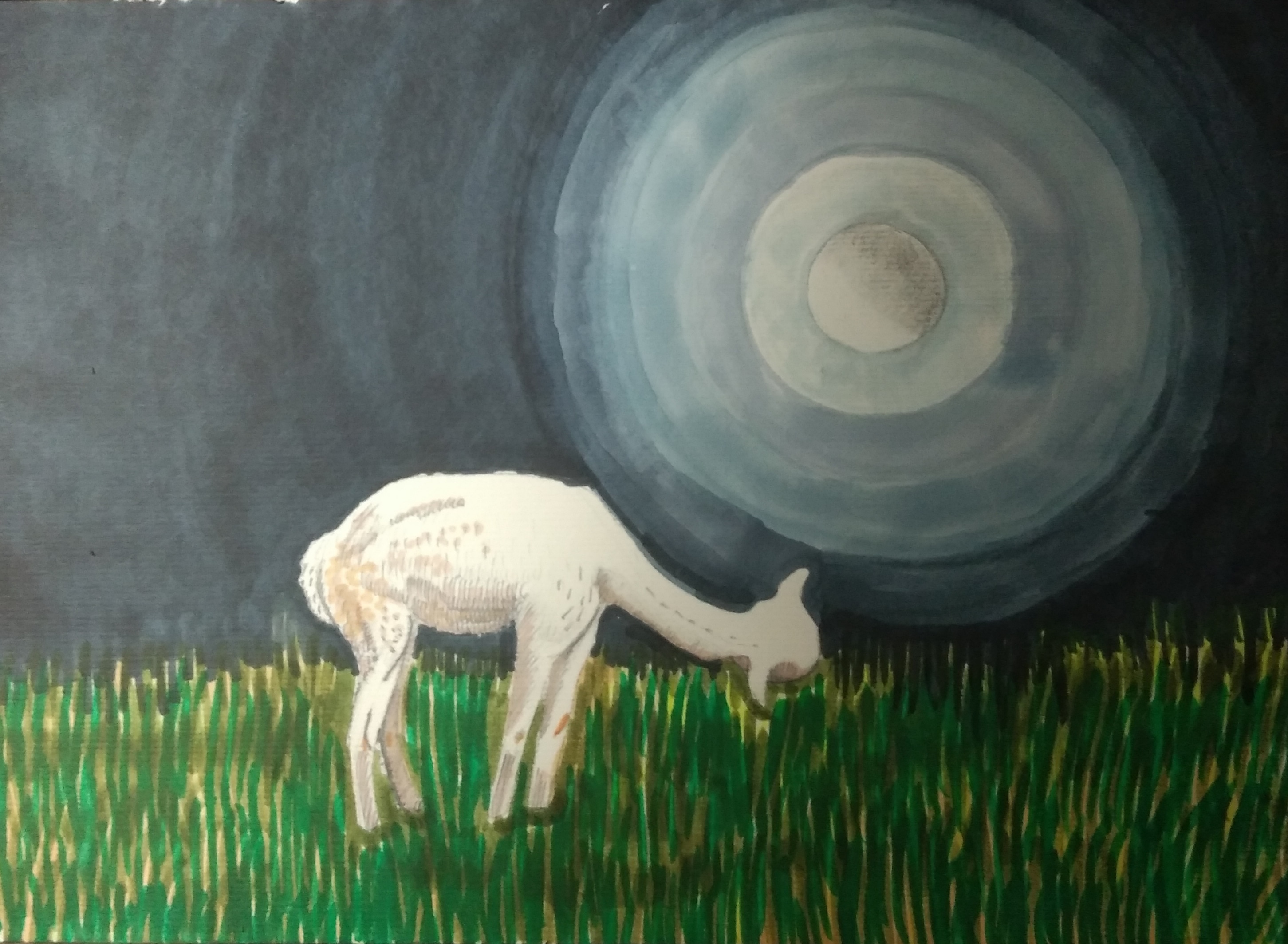 Alpaka i księżyc2_2023_21x29,7 cm_cienkopis i marker na papierze
