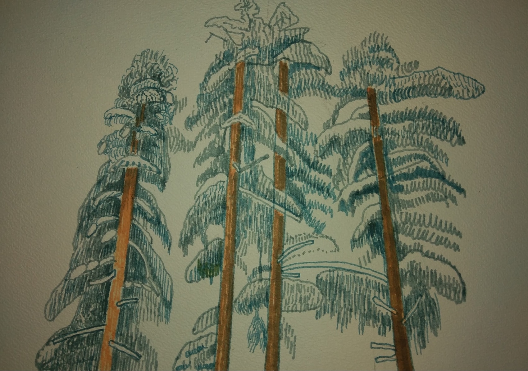 Zima w lesie_2024_21x29,7 cm_cienkopis i marker na papierze