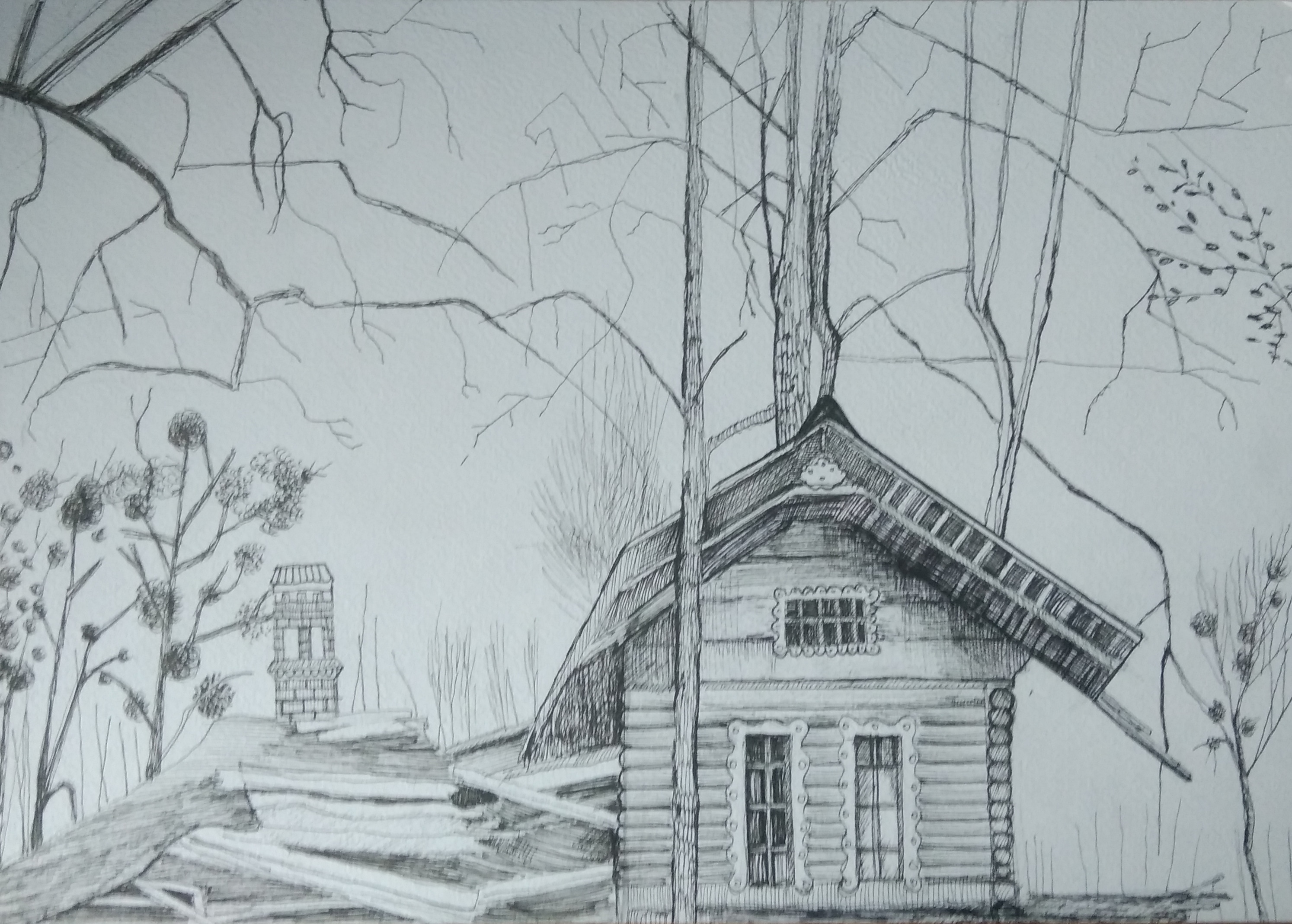 Opuszczony dom na Olszówce-2_2024_21x29,7 cm_cienkopis na papierze