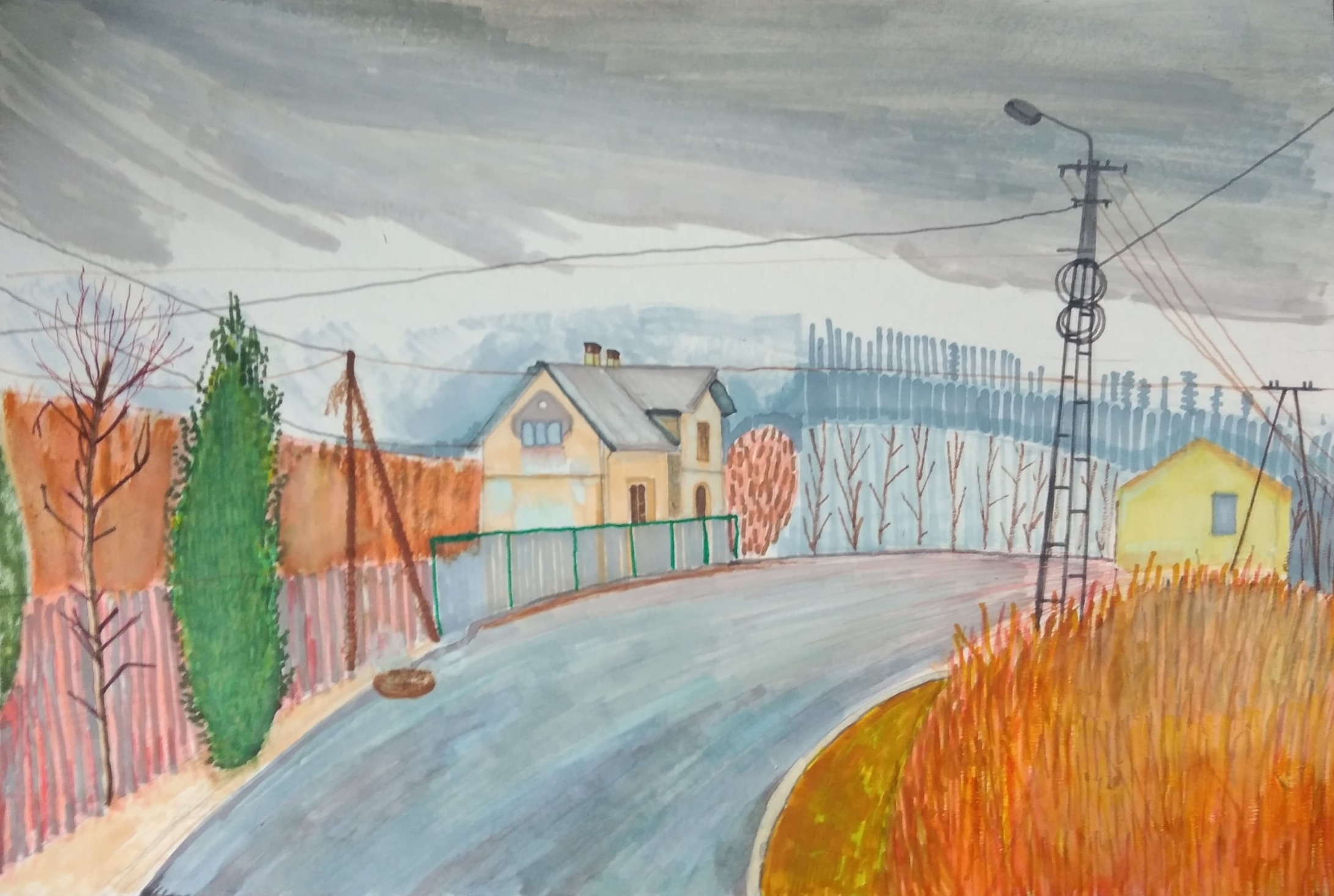 Olszówka_2024_29,7x42 cm_cienkopis i marker na papierze