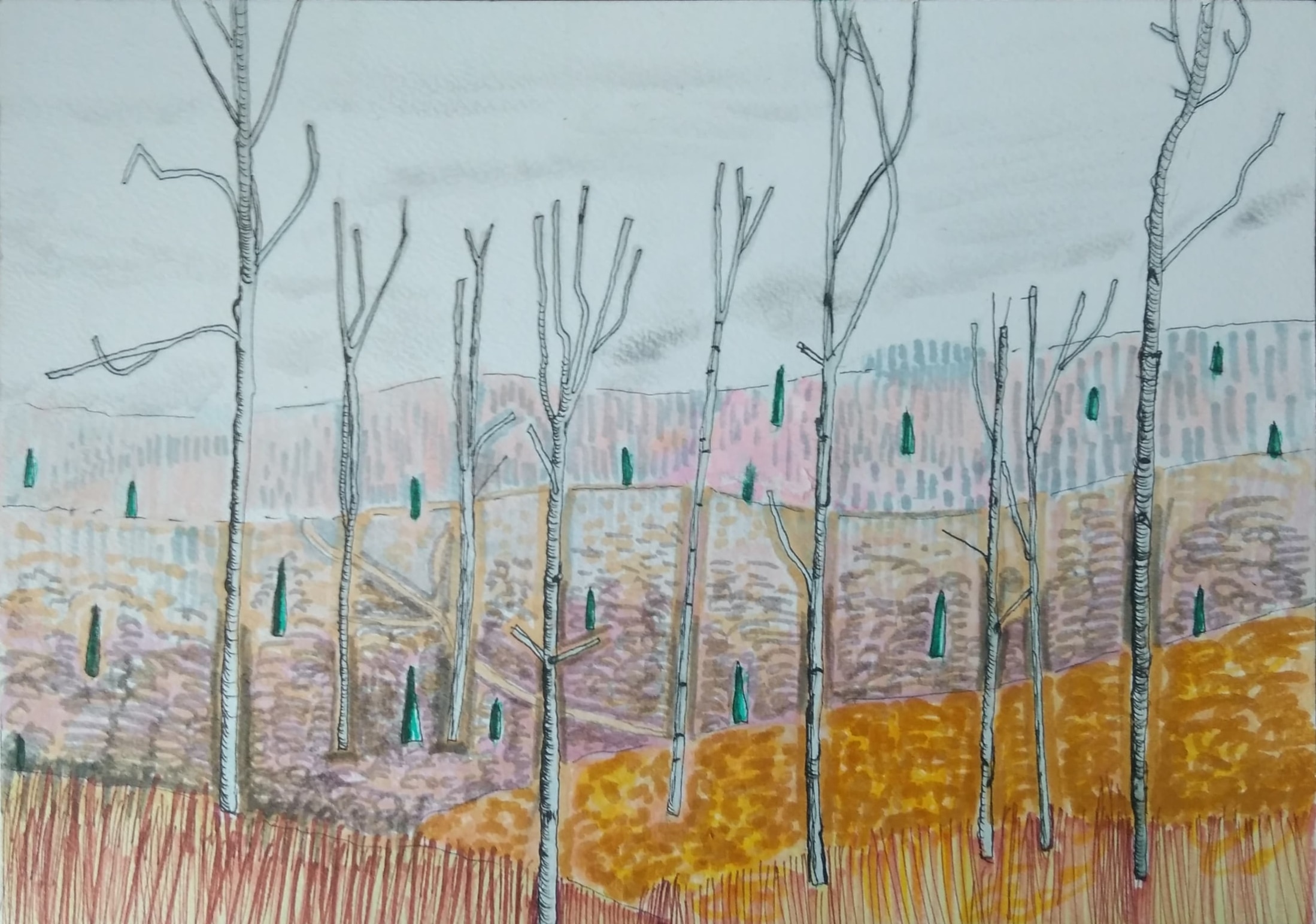 Pastelowy las_2024_21x29,7 cm_cienkopis i marker na papierze