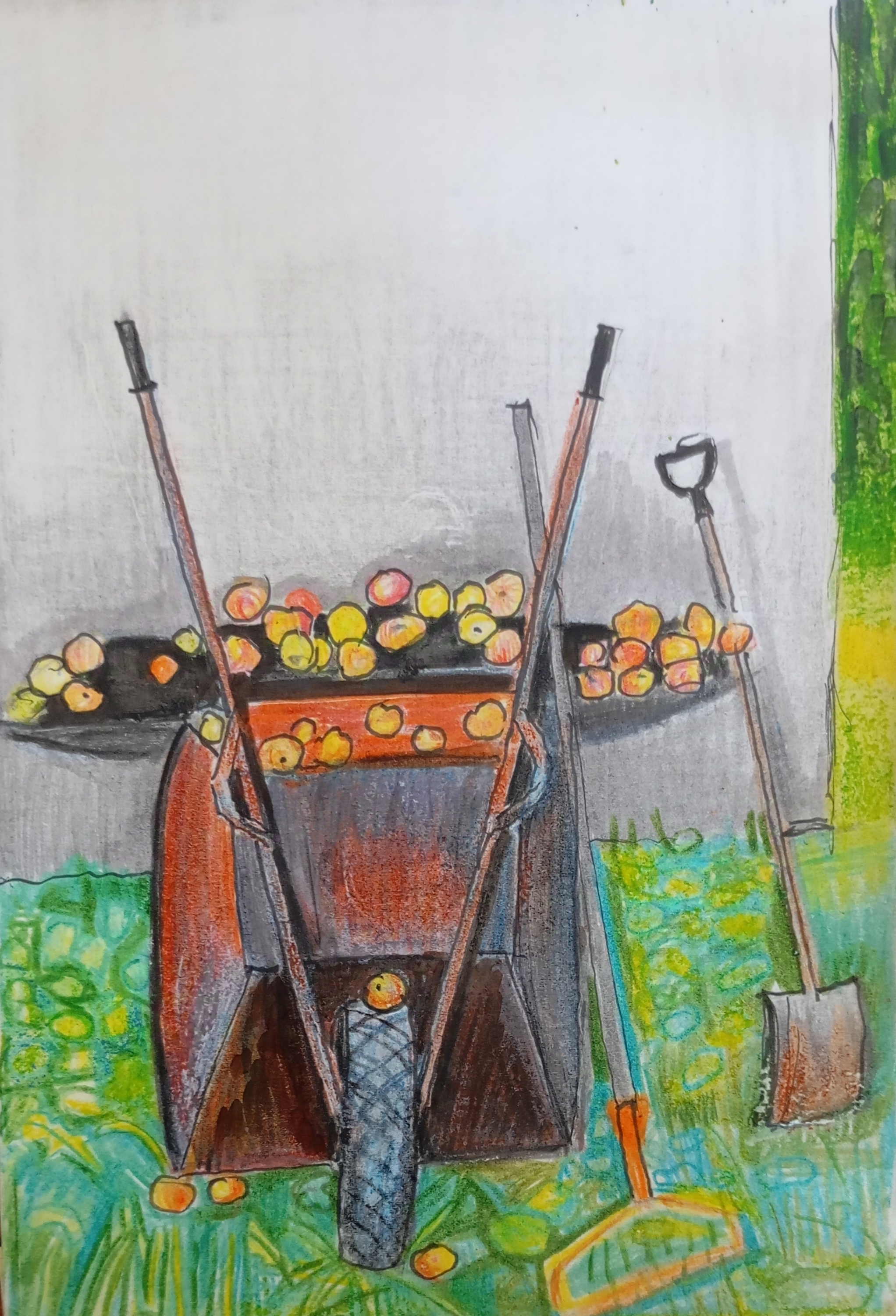 apples, jabłka, taczki, wheelbarrow, łopata, shovel, ściana, wall, garden, ogród, natalia szymonik