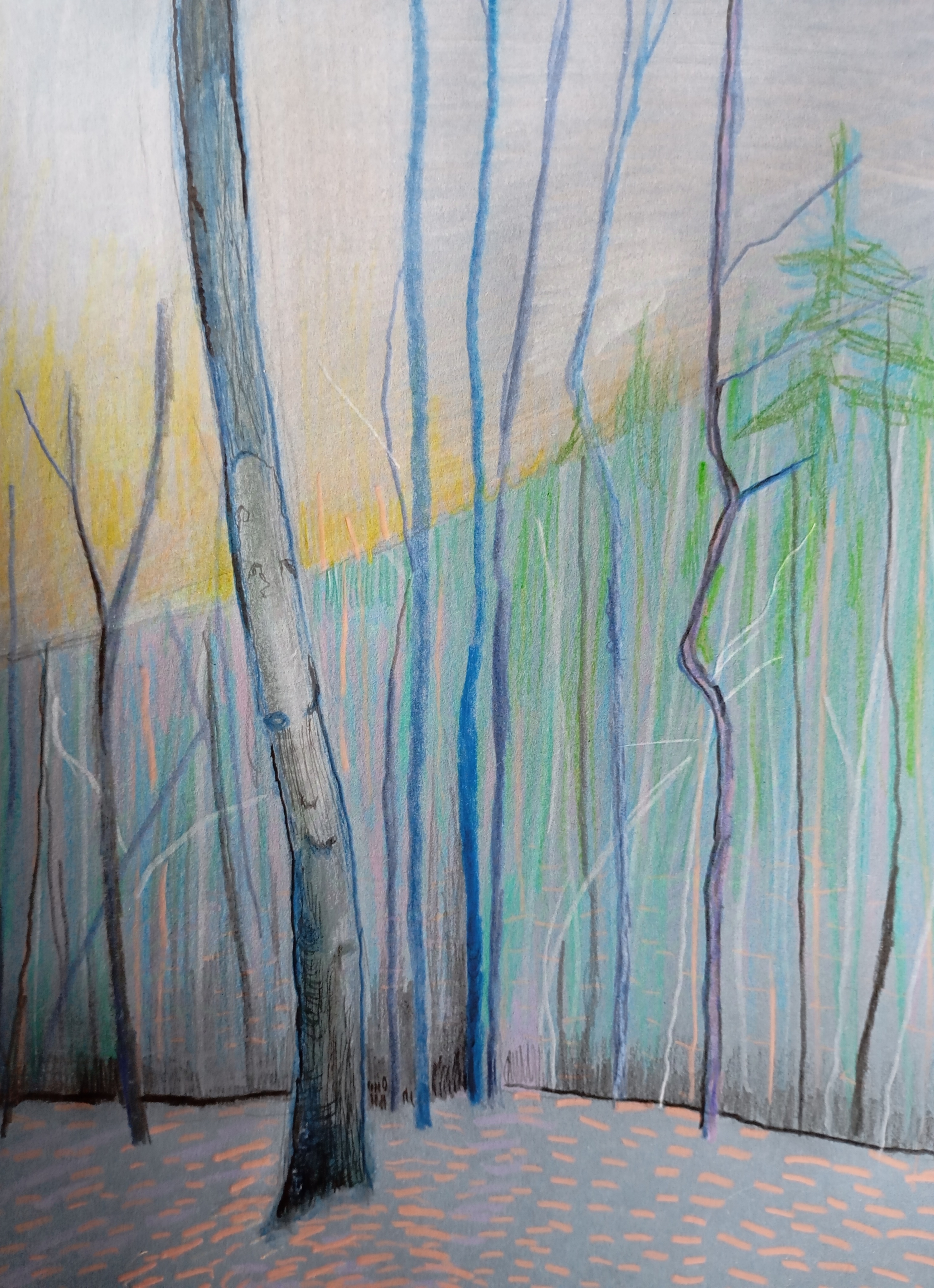 trees, mystery, drzewa, tajemnica, natalia szymonik