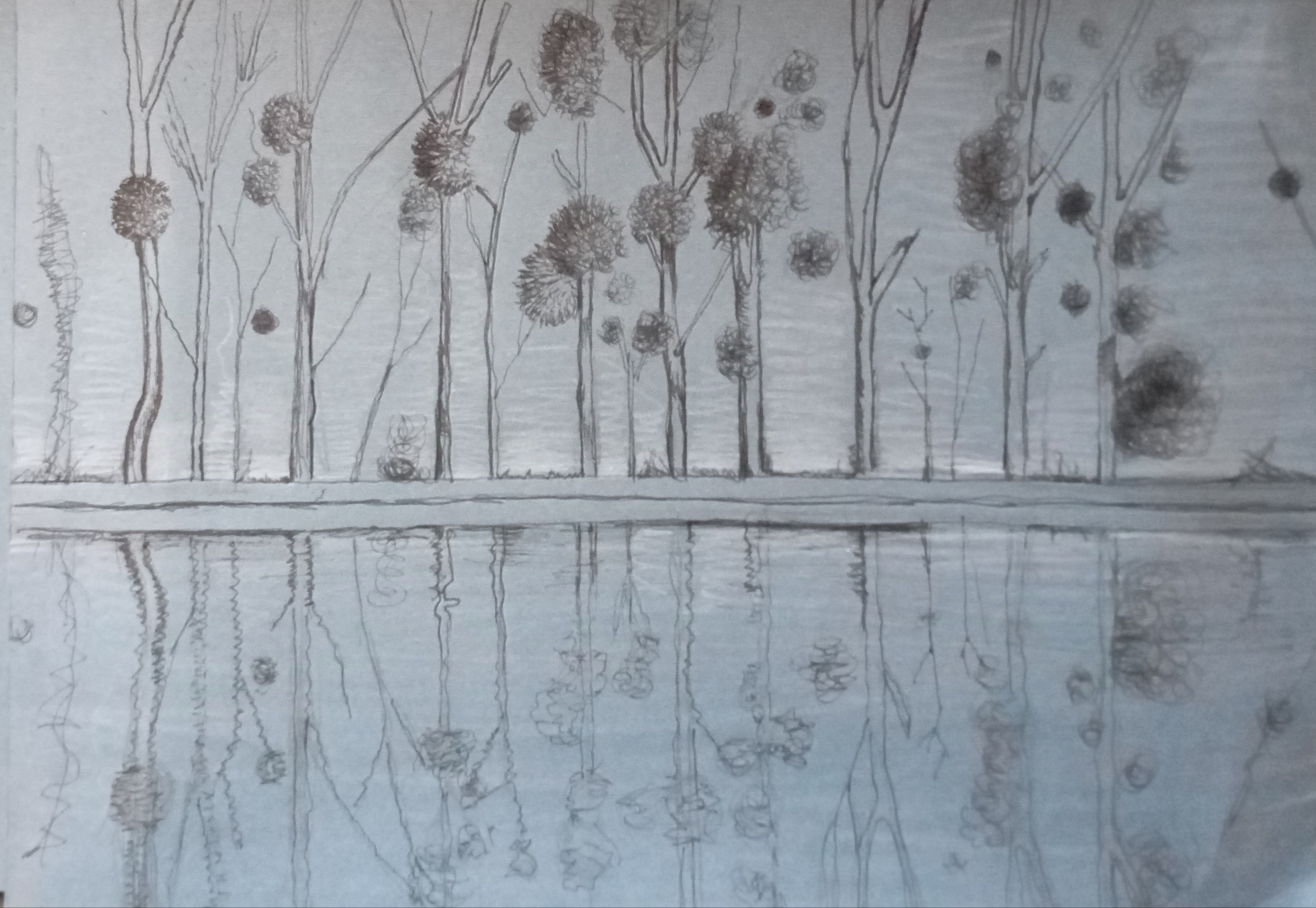 jemioły, mistletoes, woda, water, odbicie, reflection, lake, trees, drzewa, imagination, natalia szymonik