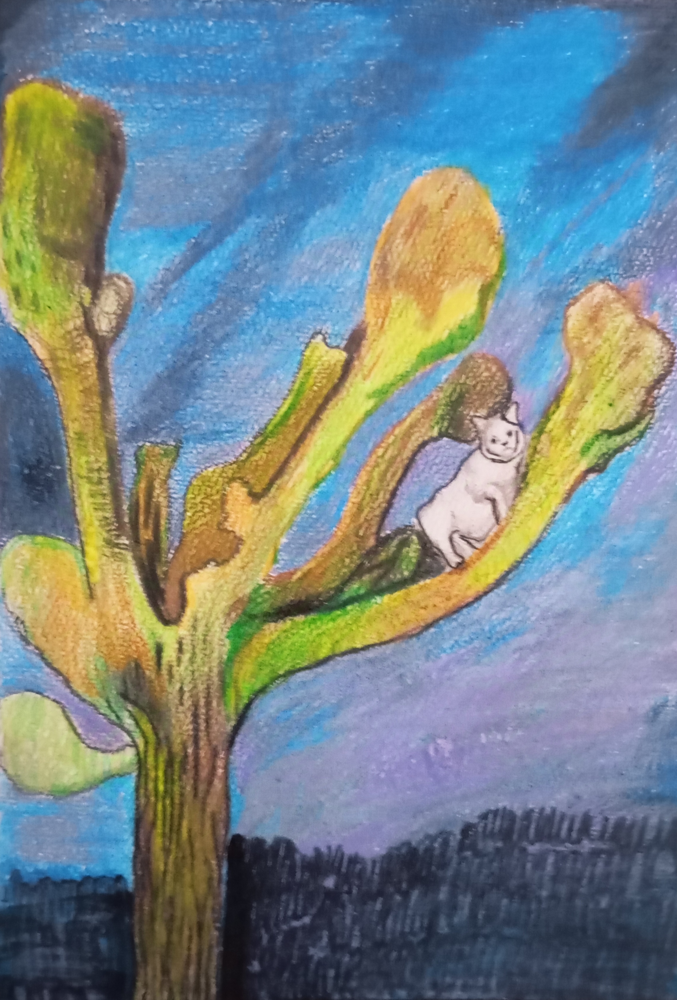 drzewa, tree, platan, platanes, il de France, cat, animal, kot, mistery, natalia szymonik