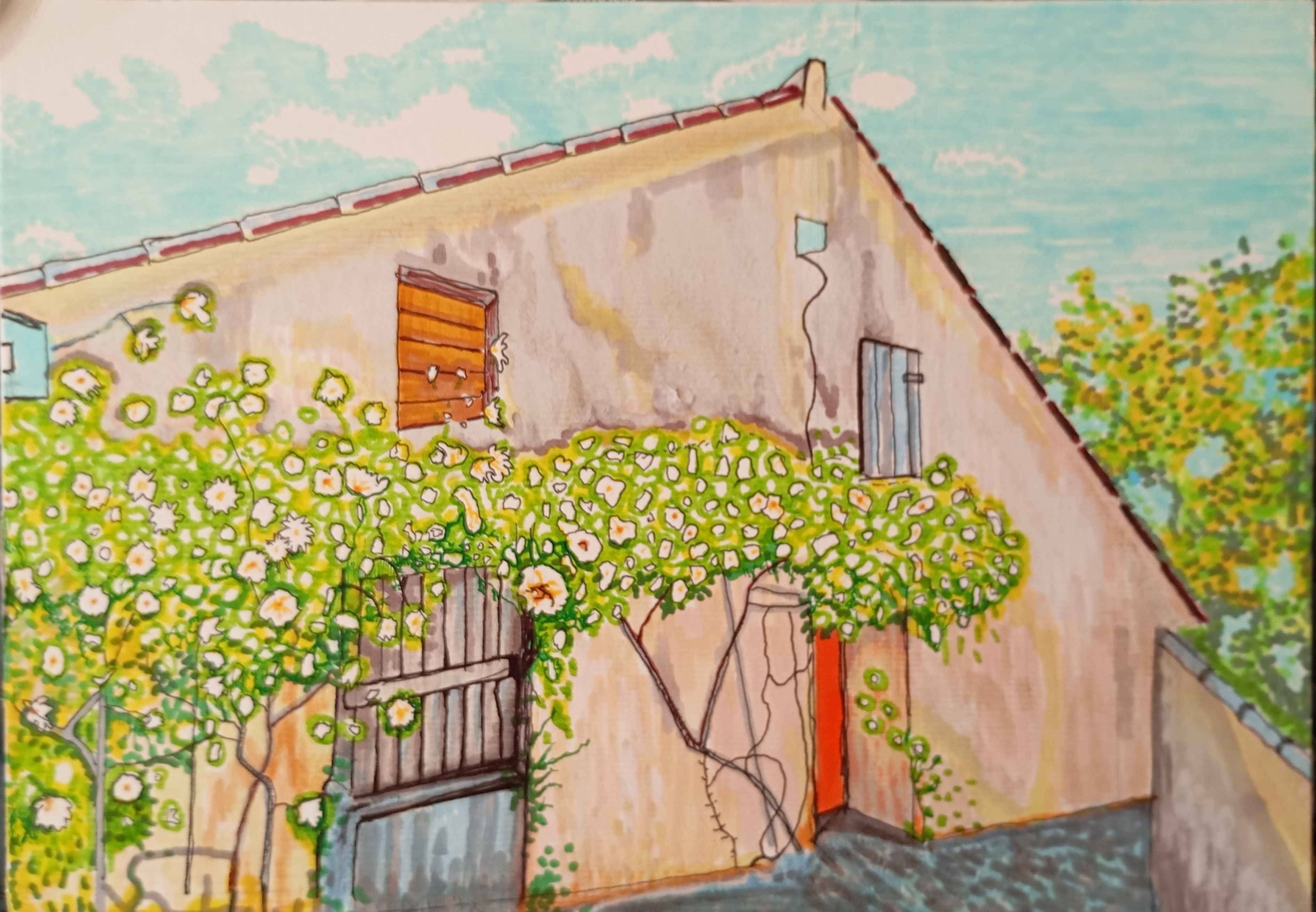 róże, roses, sky, akwarela na papierze, natalia szymonik