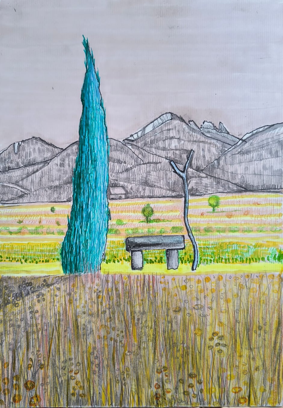 cyprys, cuprus, marker, pensil drowing, bench, sunny day, natalia szymonik