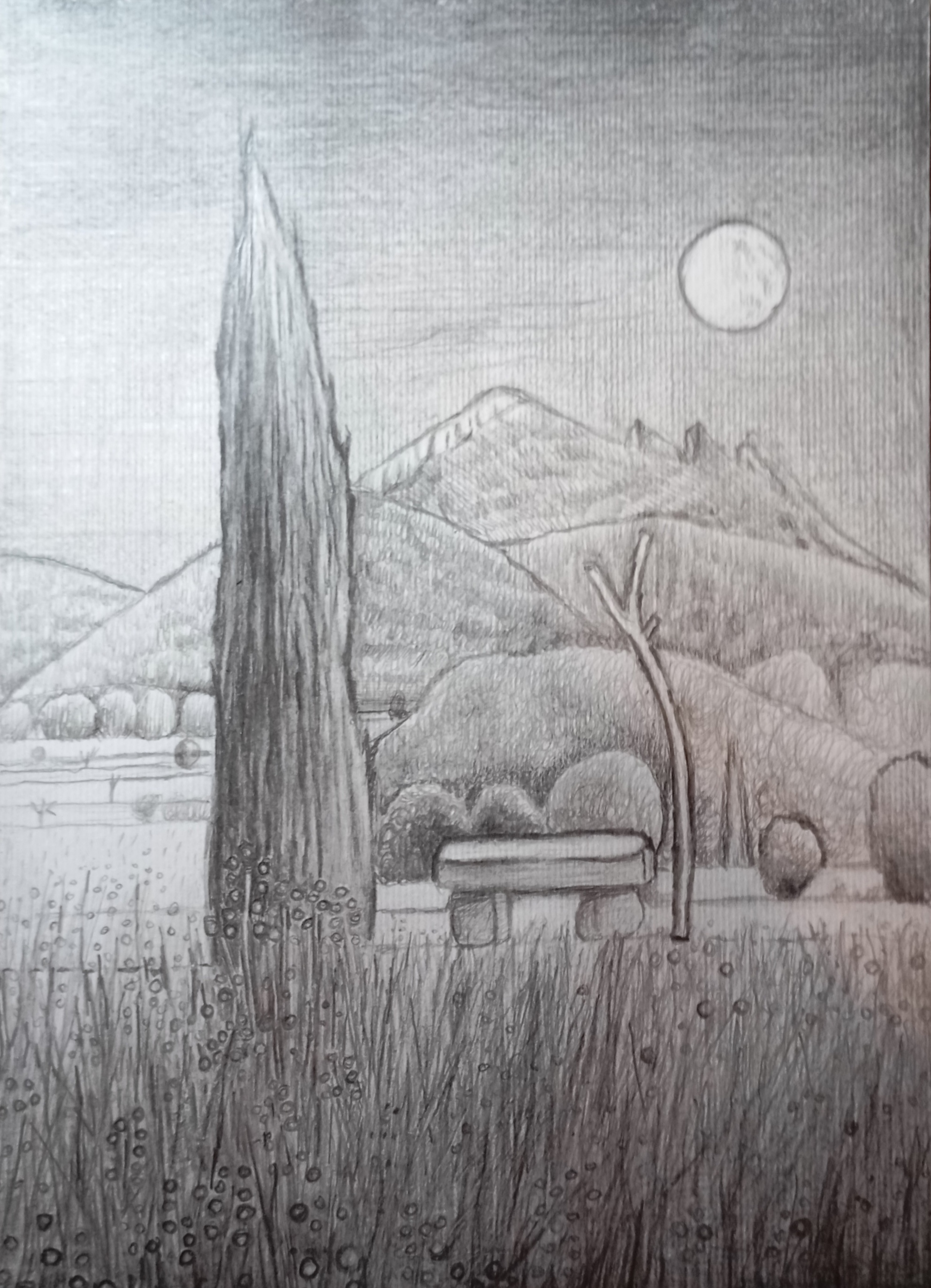 księżyc, moon, cyprys, cipris, les danteles, ławka, bench, drzewo, tree, noc, night, pensil drowing, natalia szymonik