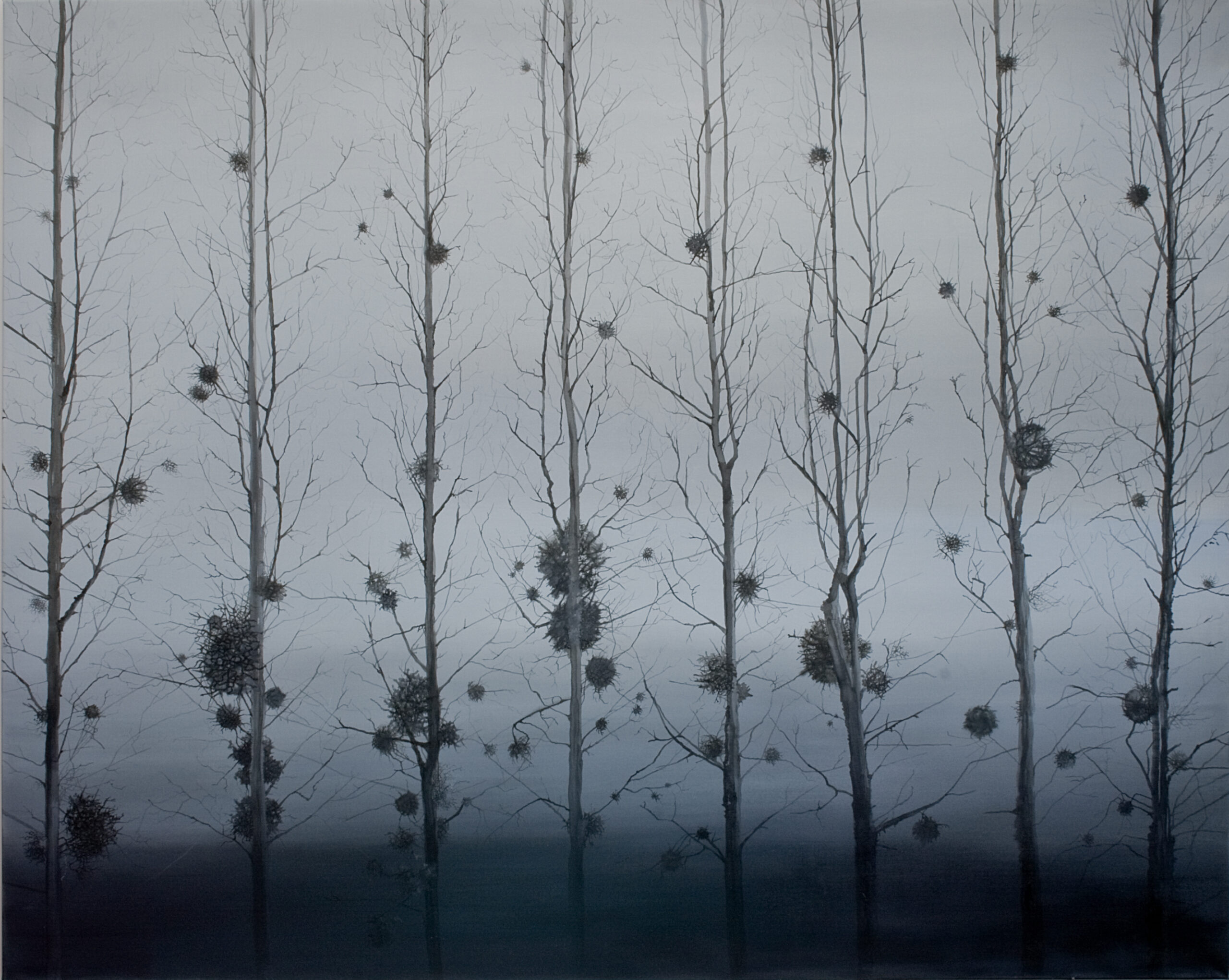 MISLETOES, JEMIOŁY, TREES, MYSTERY, NATALIA SZYMONIK ART