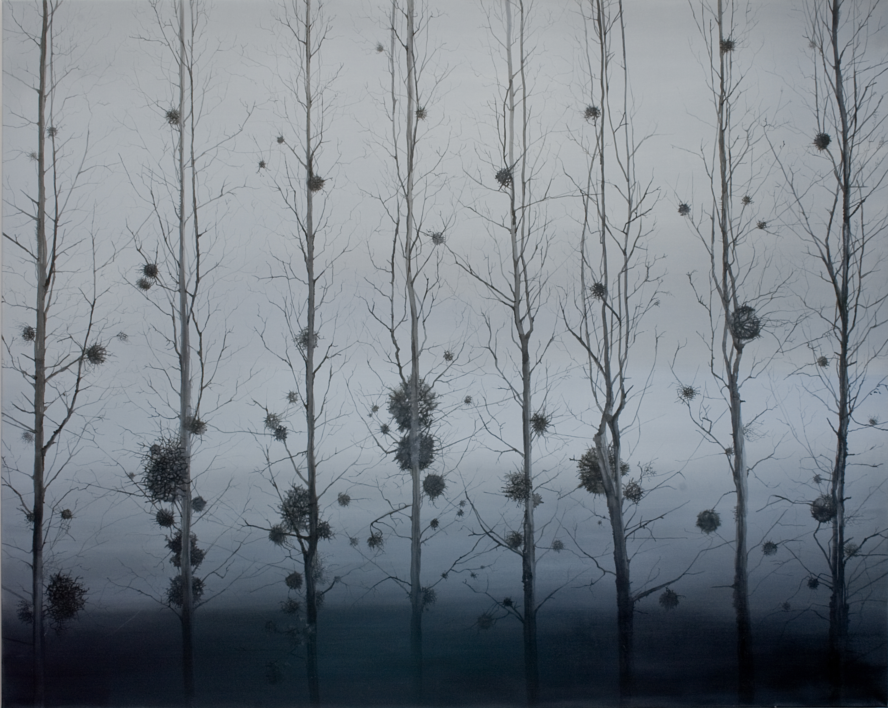 MISLETOES, JEMIOŁY, TREES, MYSTERY, NATALIA SZYMONIK ART