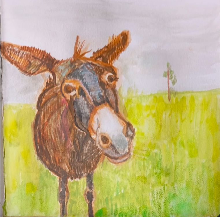osioł, donkey, trawa, grass, niebo, sky, zwierze w naturze, animal in nature, natalia szymonik, akwarela na papierze