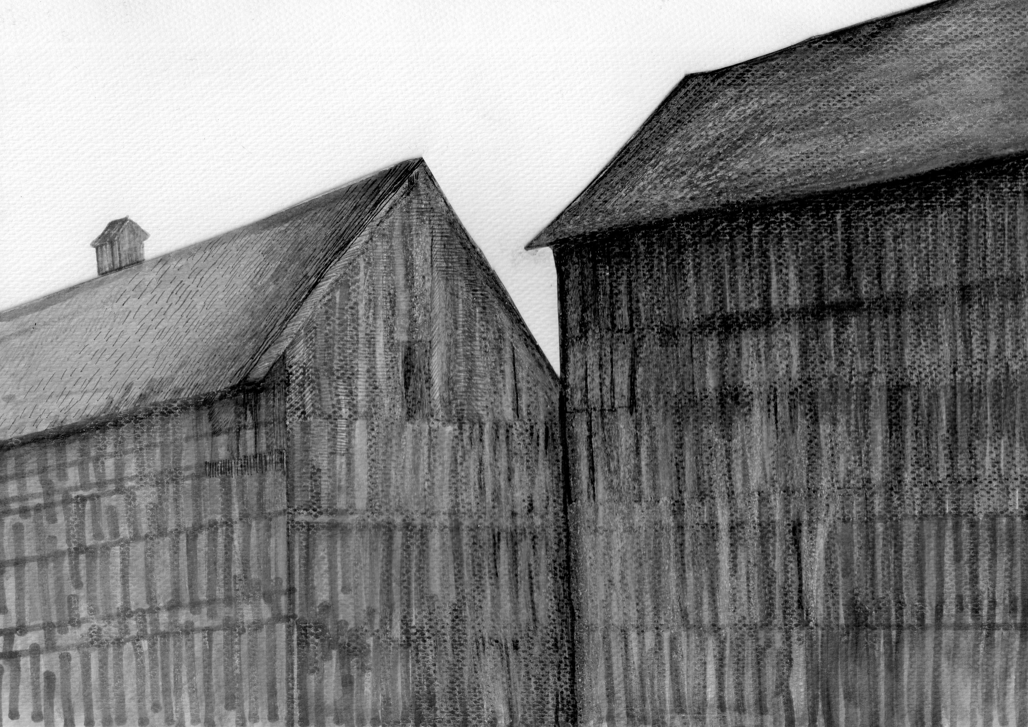 mystery, black and white, alsace