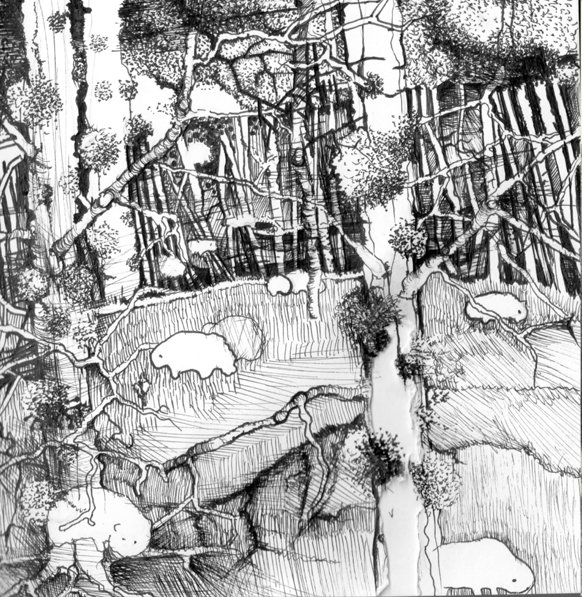 animals, zwierzęta, las, forest, natura, nature, mystery, tree, fineliner, natalia szymonik