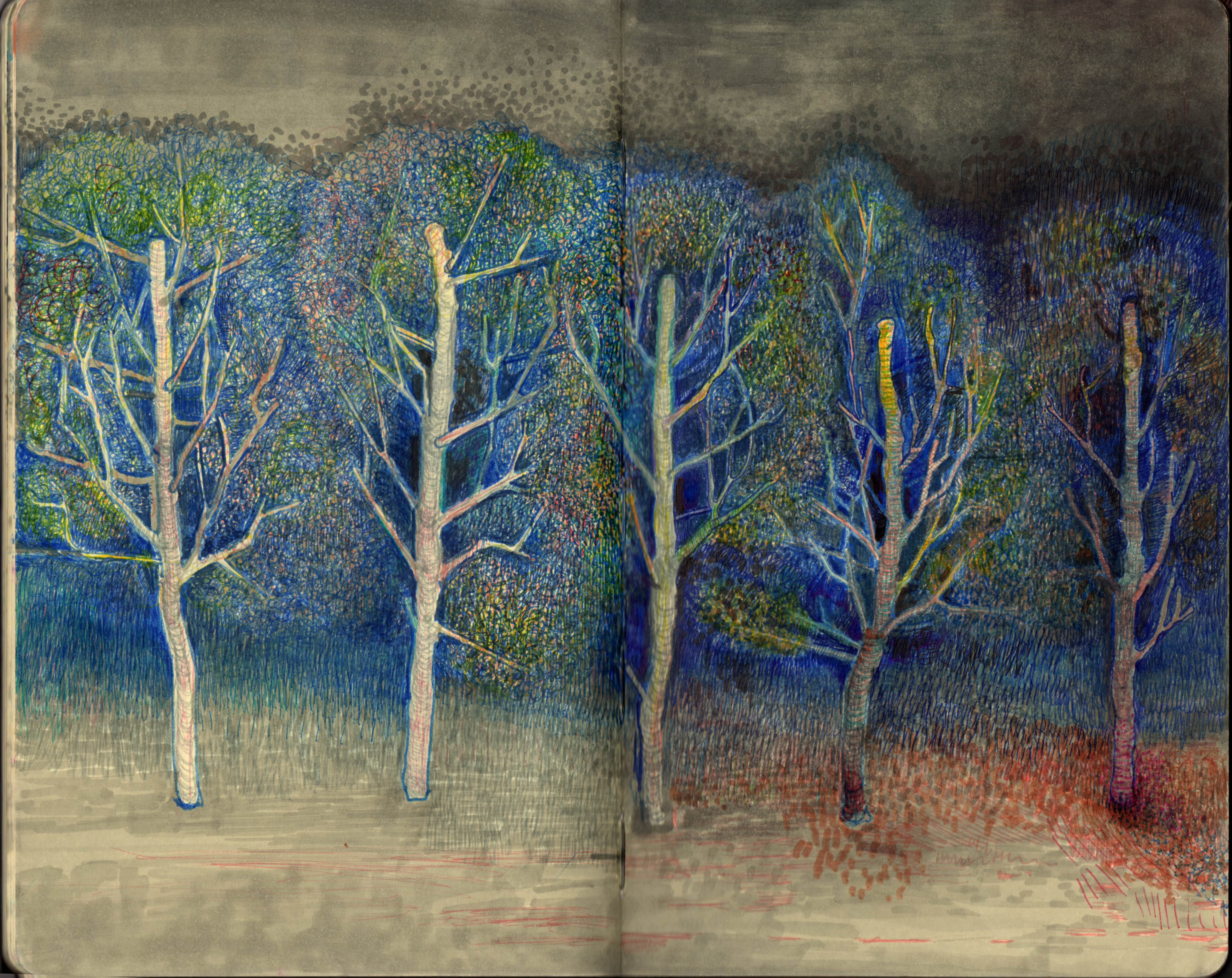 dzrewa, sarni stok, noc, night, mystery