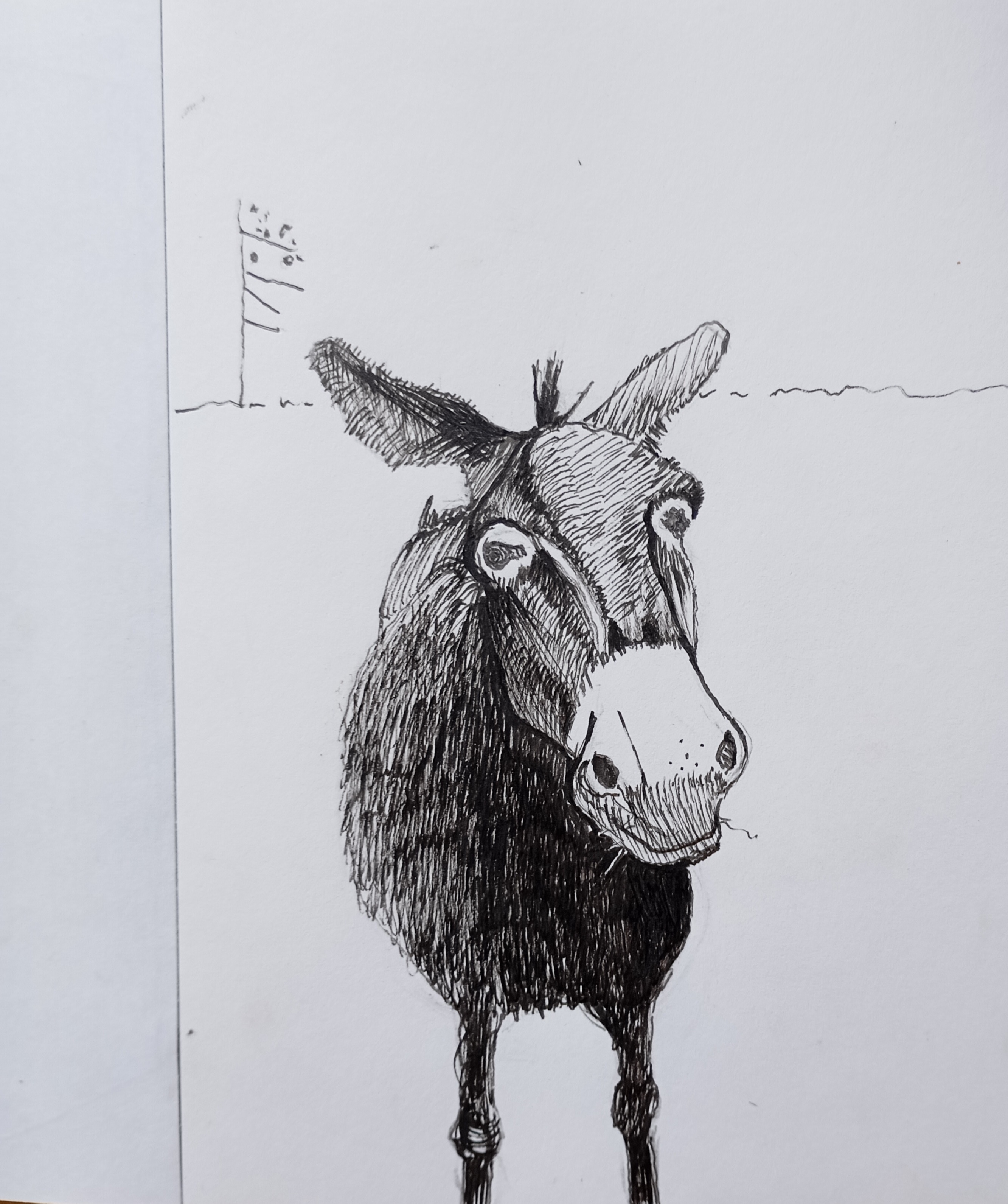 Osiołek-1_2024_14,8x21 cm_cienkopis na papierze