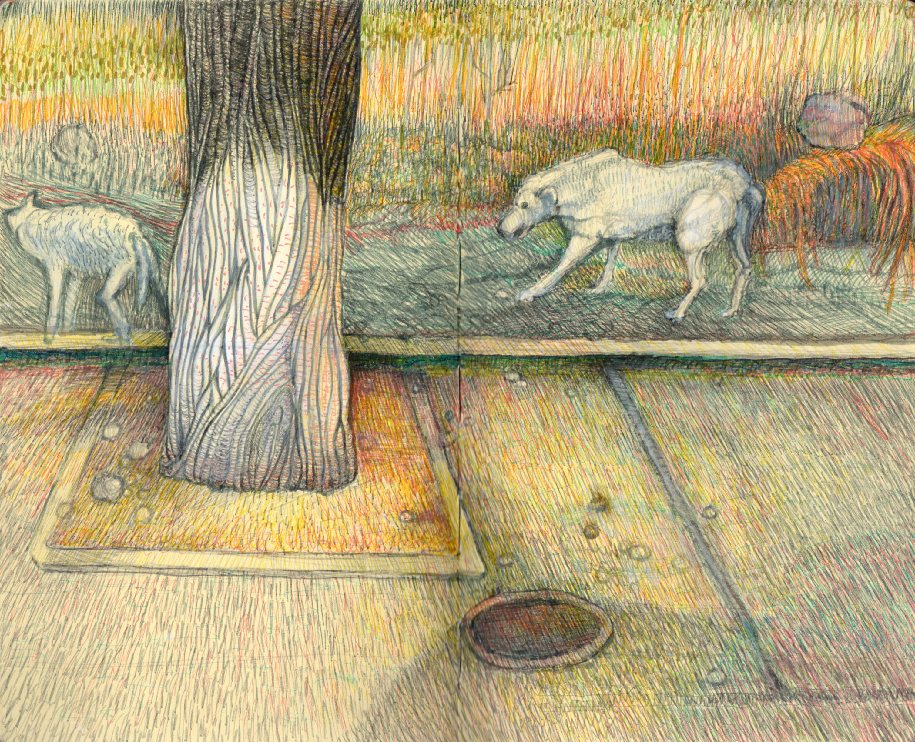 bezdomne psy, drzewo, rumunia romania natalia szymonik art