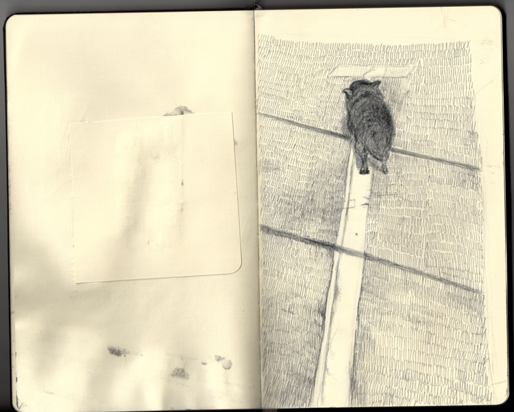 pies, dog, walking dog, throuh the street, natalia szymonik