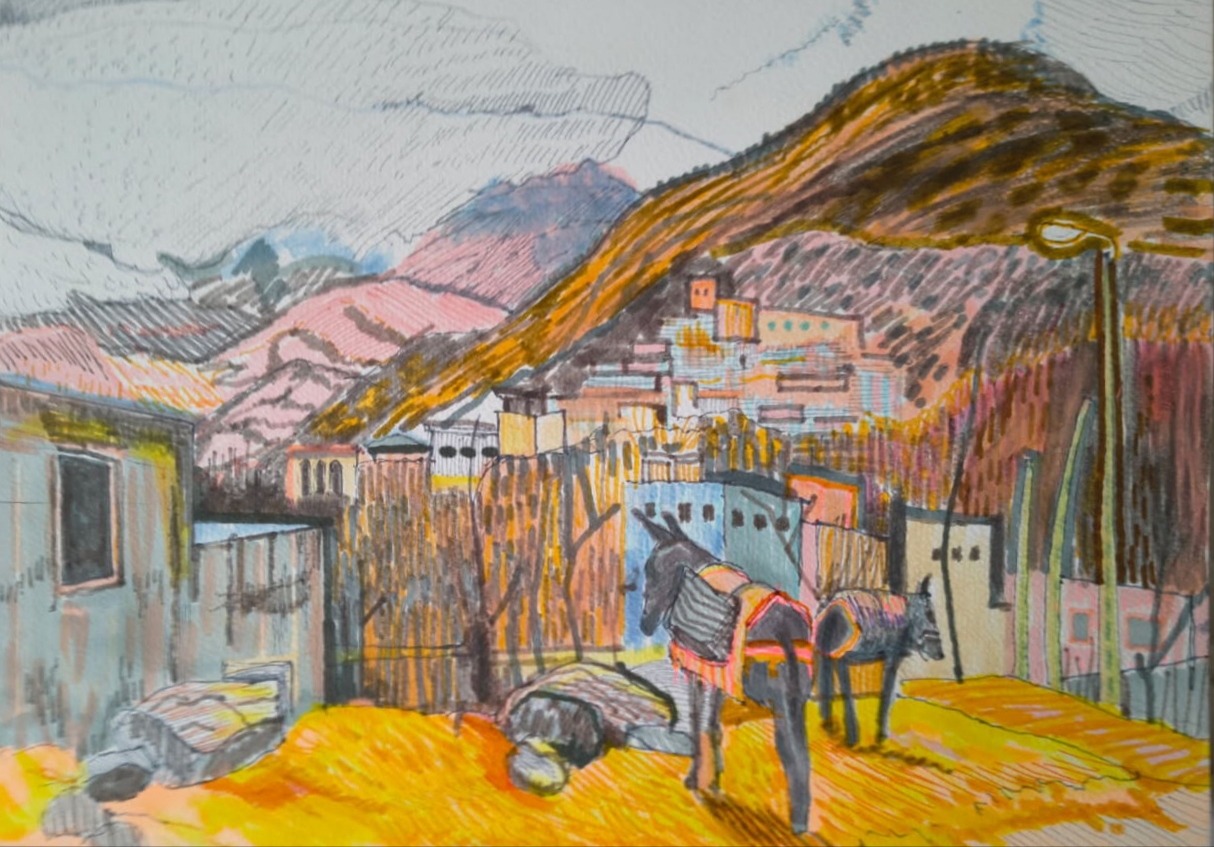 osły, edonkey, ane, pejzaż