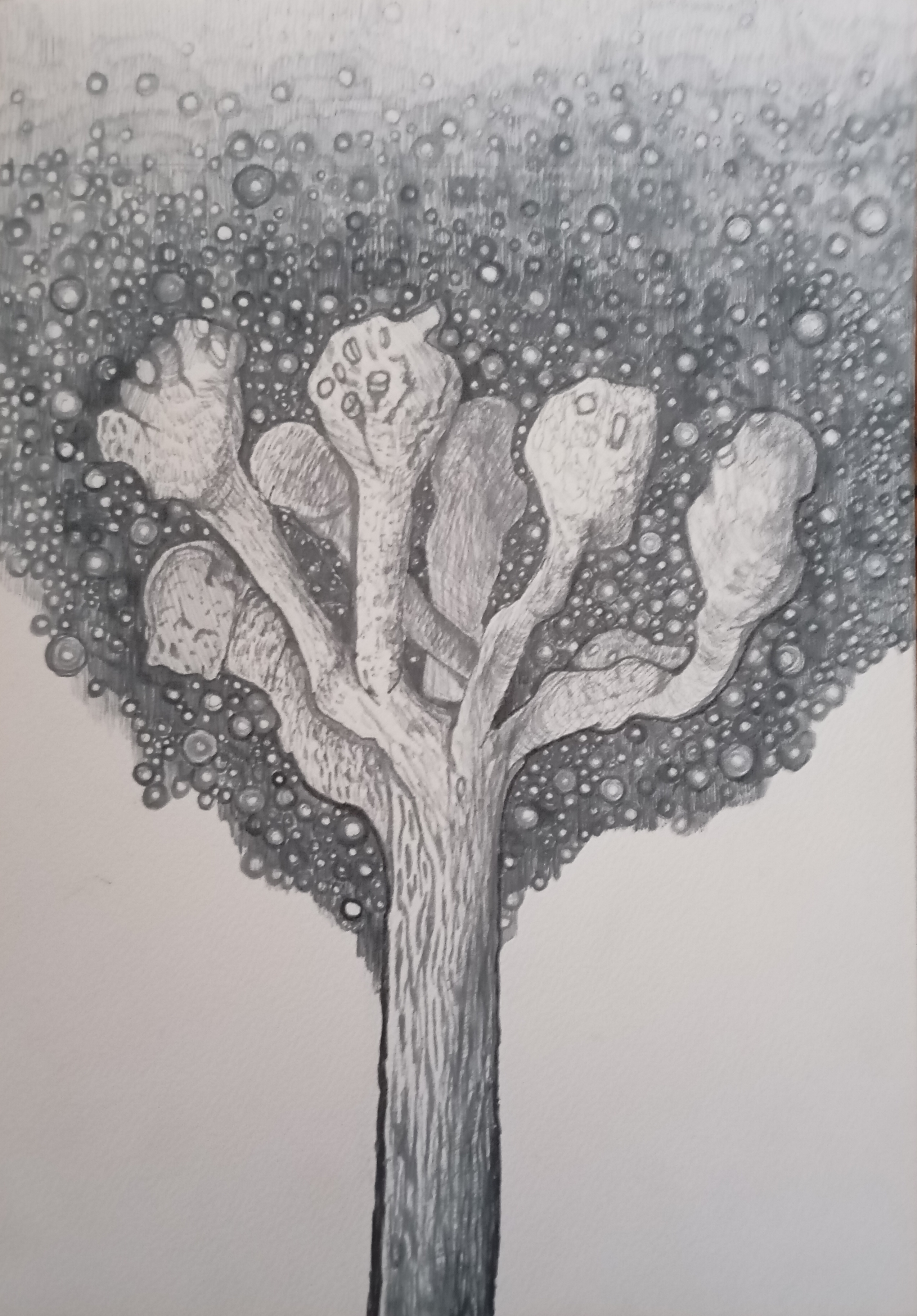 sky, stars ,sky paintings